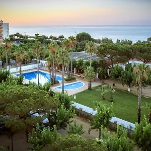 Bellsol Campsite